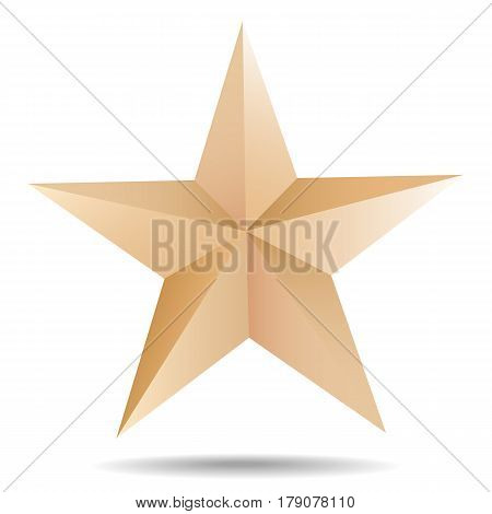 Vector Paper Star Shape Origami Object