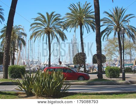 Paseo Maritimo Traffic Palms And Marina