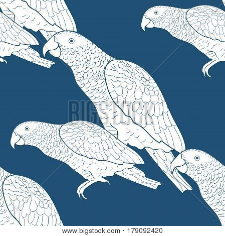 Seamless Pattern Jaco Parrot The Blue  Africa  Vector Illustration