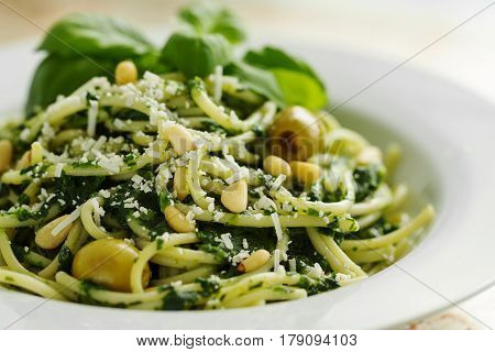 Tasty Beautiful Pasta Closeup with Spinach Cheese Olives Basil and Nuts.