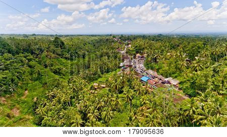 Aerial view of Tegalalang Rice Terrace in Ubud Bali Indonesia.