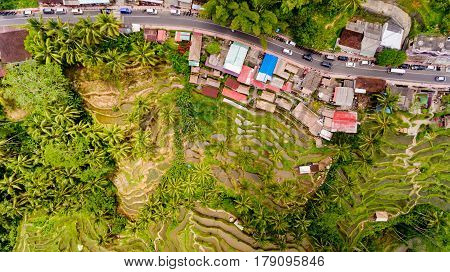 Top view Tegalalang Rice Terrace in Ubud Bali Indonesia.