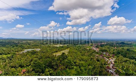 Aerial view of Tegalalang Rice Terrace in Ubud Bali Indonesia.