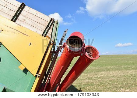Screw conveyor in agriculture. Farm. Grain conveyor.