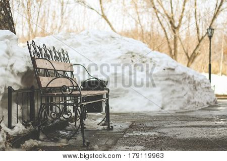 Bench in the park in the spring dull day