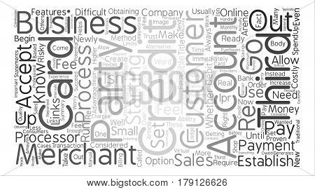 Third Party Credit Card Processors Word Cloud Concept Text Background