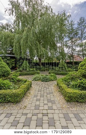 Symmetric Plant Arragement In Garden