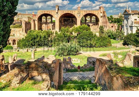 Roman Forum in Rome, Italy. The Basilica of Maxentius and Constantine in the distance.