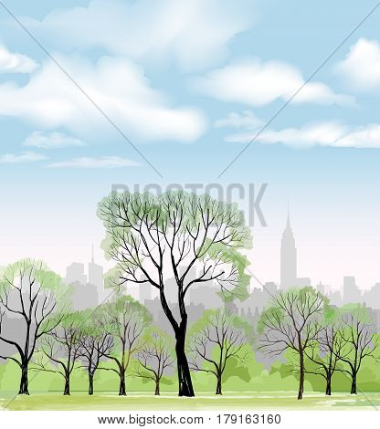 Bench And Streetlight In Park Over City Background. Landscape Of Central Park In New York. Usa.