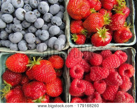 Four containers of berries, blue berries, strawberries and raspberries