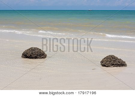 Coral na praia