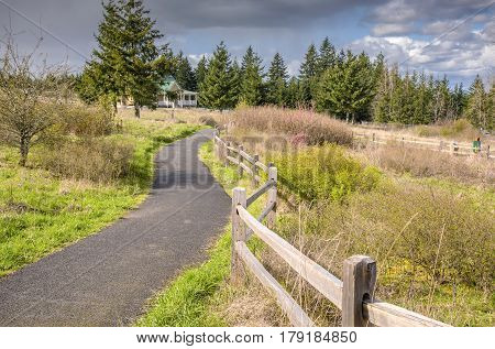 Public park and tree row in Salem Oregon.