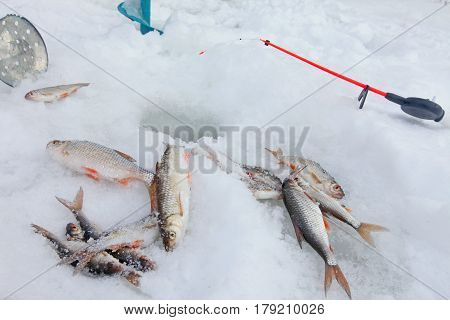 Winter Fishing