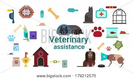 Veterinarian Medicine Icons Clinic Of Veterinary Assistance Flat Vector Illustration