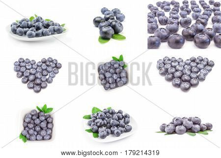 Group of bog bilberry isolated over a white background