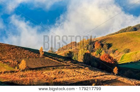 Mountain Rural Area In Foggy Autumn Morning