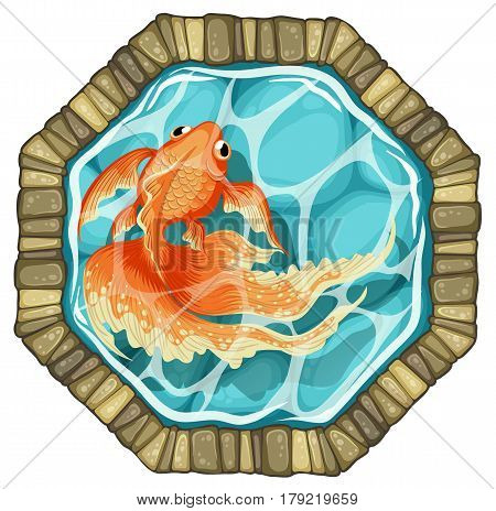 goldfish stone pond top view vector illustration
