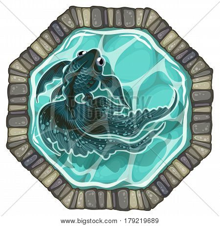 black goldfish pond top view vector illustration