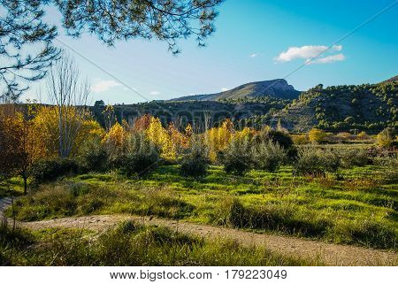 Autumn Landscape With Colorful Leaves In Caravaca De La Crus, Spain