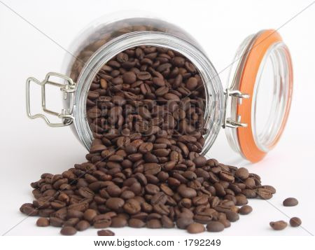 Koffie zaden