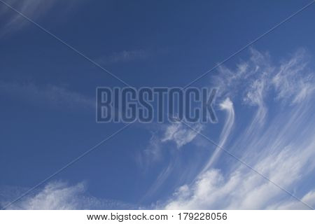 In the blue evening sky tall white cloud art