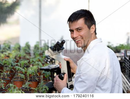 Scientist With Microscope In Green House