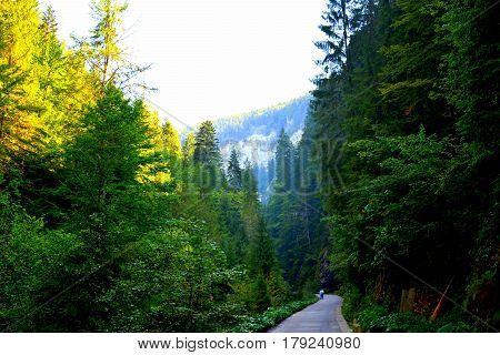 Odancusii Pass.  Landscape in Apuseni Mountains, Transylvania. The Apuseni Mountains is a mountain range in Transylvania, Romania, which belongs to the Western Romanian Carpathians, also called Occidentali in Romanian. The Apuseni Mountains have about 400