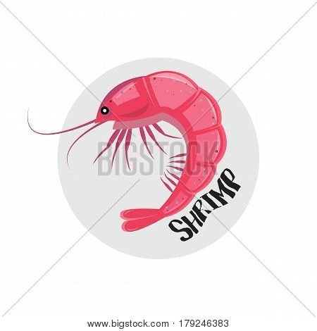 Shrimp Icon. Vector Illustration. Pink Shrimp Icon Isolated On White.