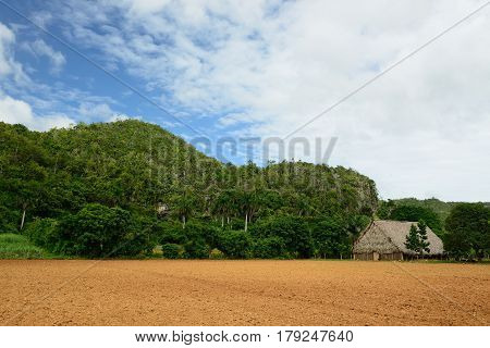 Shelter for the drying of tobacco leaves from which next the best cigars are being made in the world. Valley de Vinales Cuba Pinar del Rio province