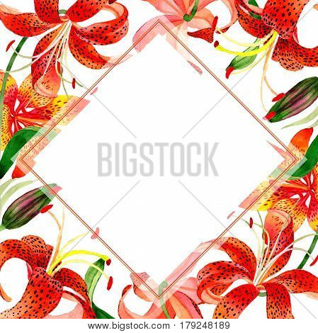 Wildflower leopard lily flower frame in a watercolor style isolated.  Aquarelle wild flower for background, texture, wrapper pattern, frame or border.