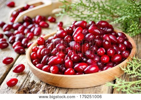 Organic cornel or dogwood berry in a wooden bowl