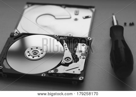 Took Apart The Hard Drive From The Computer, Hdd Drive,