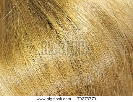 shiny gingery hair as background fashion style