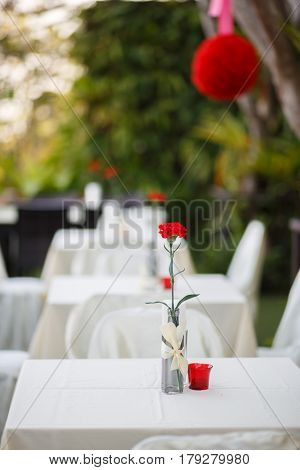 Beautiful red carnation flower in glass jar