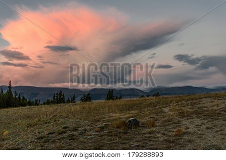 Scenic landscape with mountains steppe and beautiful clouds with a pink backlight at sunset