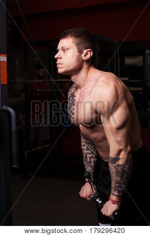 Bodybuilder man with naked torso performing pulldowns during the triceps workout at the gym