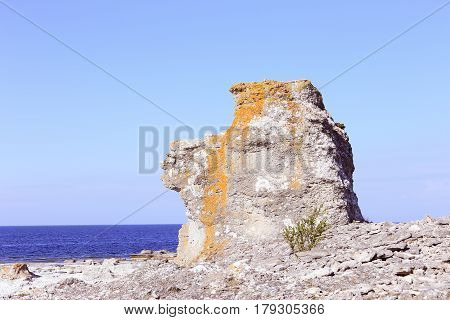 One sea stack at the Langhammars in Swedish province of Gotland.