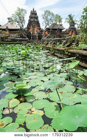 Lotus Pond And Pura Saraswati Temple In Ubud, Bali