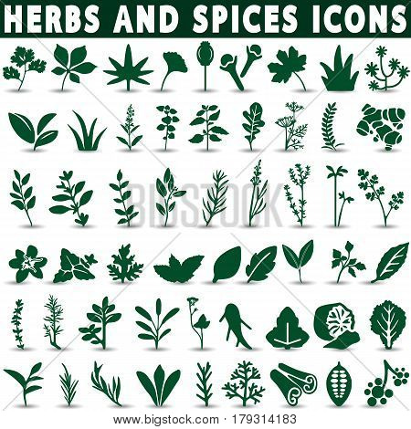 Herbs and spices icons on a white background with a shadow
