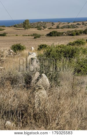 Ancient menir in Sardinia near Costa Rei
