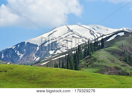 A view of Makra Peak (Spider Mountain) from Paye Meadows in Himalayas North Pakistan.
