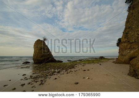 Beautiful green mossy at Batu Luang beach during sunset located at Kuala Penyu, Sabah, Malaysia