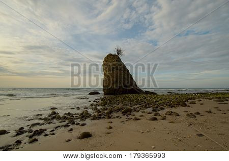 Beautiful green mossy at Batu Luang beach during sunset located at Kuala Penyu, Sabah, Malaysia