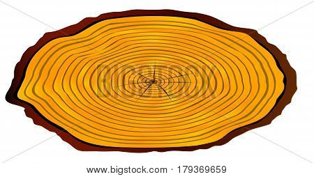 A section of a sawn log as used for a house name over a white background