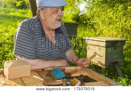 Portrait of positive elderly bee-keeper on an apiary