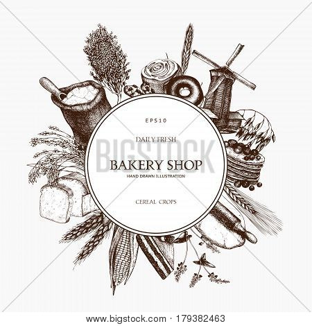 Vector design with ink hand drawn agricultural plants sketches. Vintage illustration with legumes, cereal crops, sunflower and flax.
