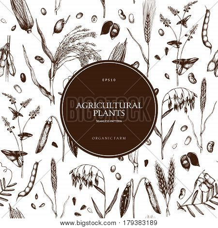Vintage background with industrial crops illustration. Farm fresh and locally grown organic products illustration. Seamless