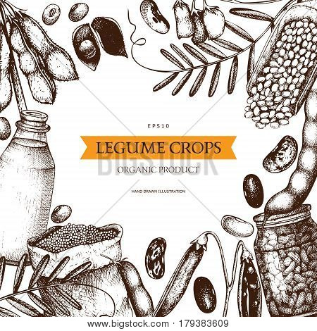 Vector design with ink hand drawn agricultural plants sketches. Vintage illustration with legumes, cereal crops, sunflower and flax.