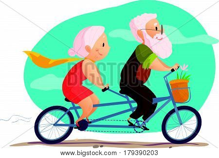 Vector flat portrait of old cute loving couple riding double bicycle. Cartoon style. Love forever. Grandparent character illustration. Happy people on bike. Healthy lifestyle. Good for postcard design