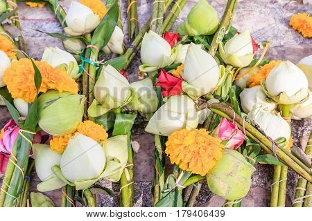 Lotus for pray to Lying Buddha statue at Wat Lokayasutharam in Ayutthaya Historical Park Ayutthaya Thailand